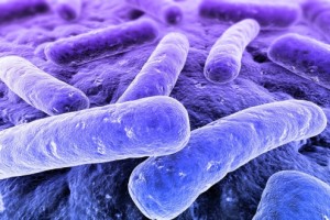 Schon Steinzeit-Bakterien waren resistent gegen Antibiotika