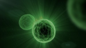 Verpflanzung embryonaler Stammzellen erstmals auch in Europa