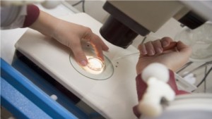 Hormone bei künstlicher Befruchtung erhöhen Krebsrisiko