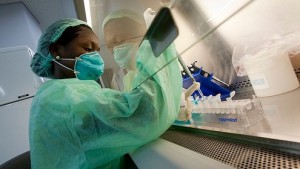 Neuer Wirkstoff bekämpft Malaria zweifach