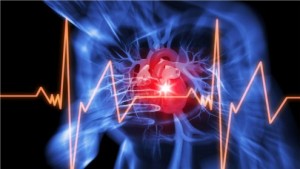Forscher entdecken Notfall-Zellen am Herzen