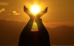 Neue Referenzwerte für Vitamin D