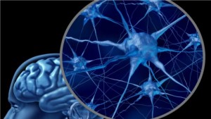 Neuer Test soll Alzheimer-Diagnose erleichtern
