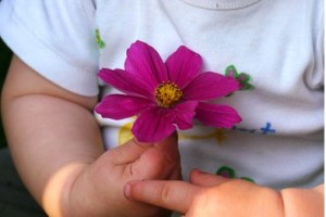 Lebensmittel für Kleinkinder in der Kritik