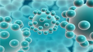 Multiresistente Keime an Uni Leipzig entdeckt