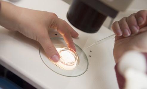 Krebszellen eines Tumors zeigen unterschiedliches Gen-Profil Krebszellen eines Tumors zeigen unterschiedliches Gen-Profil